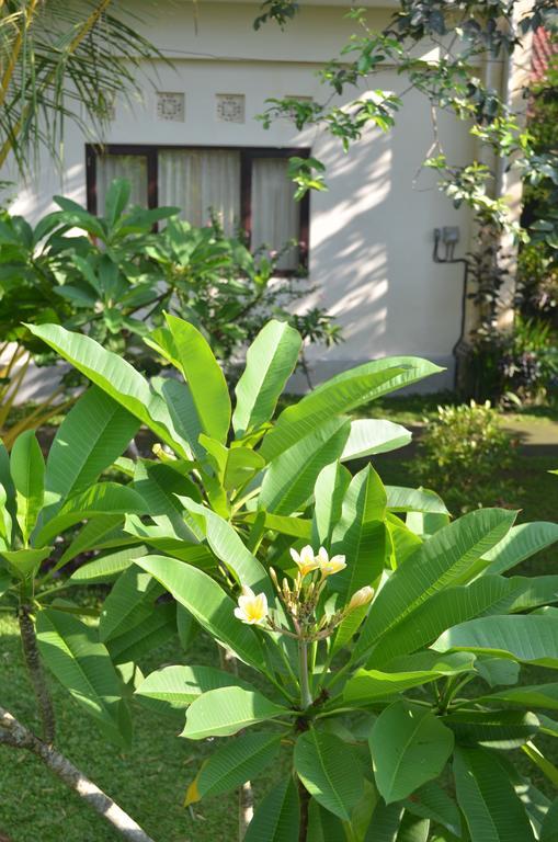 Wijaya Guest House Ubud Esterno foto