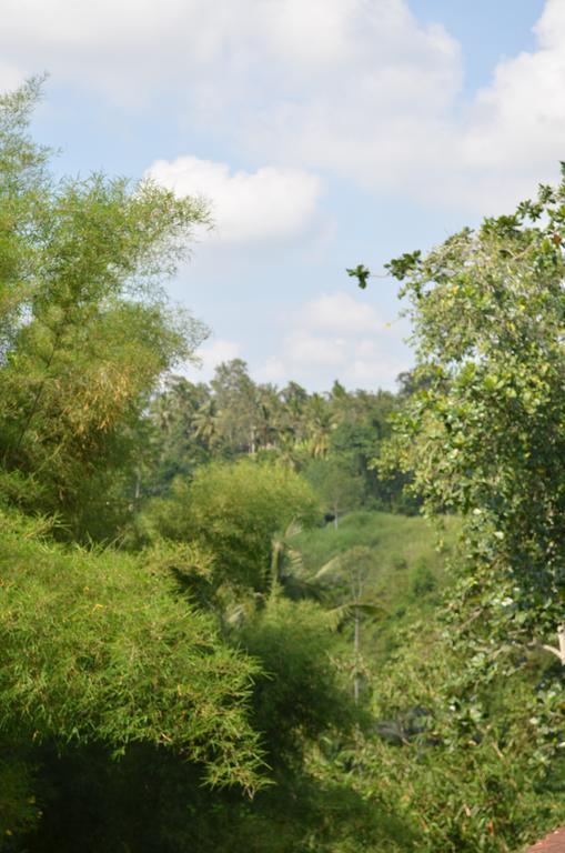 Wijaya Guest House Ubud Esterno foto